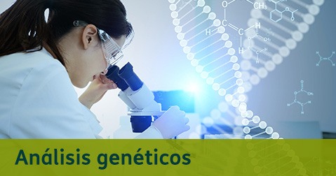 Análisis Genéticos - Destacados