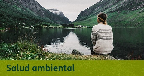 Salud ambiental