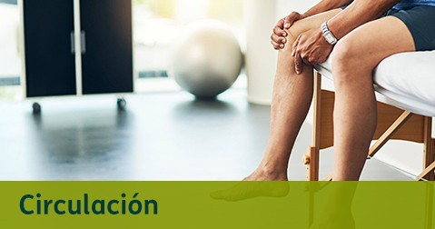 Circulación