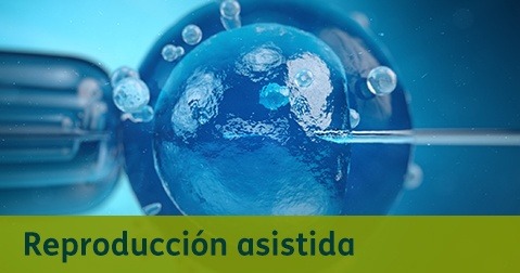 Reproducción Asistida - Destacados