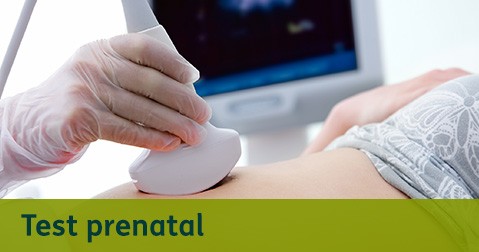 Test Prenatal - Destacados